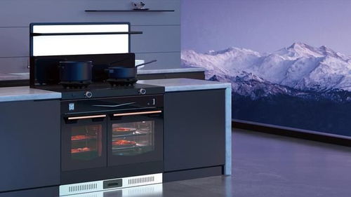 2024年集成灶銷(xiāo)量前十產(chǎn)品盤(pán)點(diǎn) 互聯(lián)網(wǎng)銷(xiāo)售市場(chǎng)格局分析